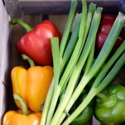 Schubladenblock Mit 1 Schublade PREMIUM - Unterbaumodul 400x560mm -Geschäft für Küchengeräte 636846189523267399 db98