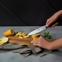 ZWILLING | VIER STERNE - Fleischmesser - Klinge 20cm -Geschäft für Küchengeräte FMZ160 FLZ200 inuse 1 bcce